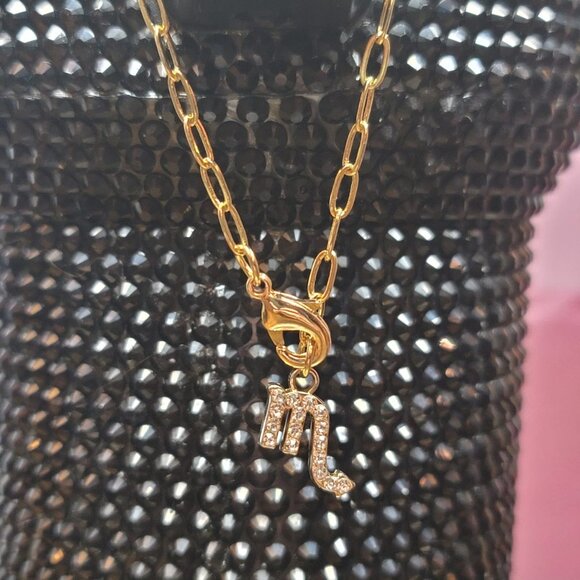 Scorpio Zodiac Tumbler Charm - Picture 4 of 4